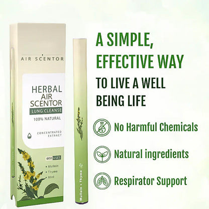 🔥Mullein Aroma Air Scentor - Relief for Cough, Congestion & Breathing Comfort2.0💝