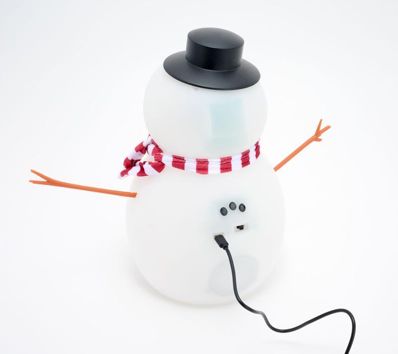 π
 π Holiday Special β Limited Time Only! The Snowman That Sings, Dances & Jokes!
